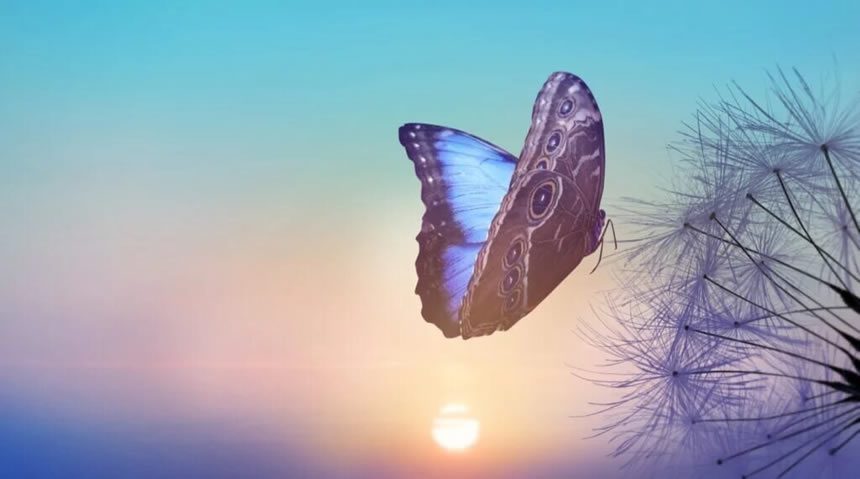 Símbolo de esperanza en las mariposas azules