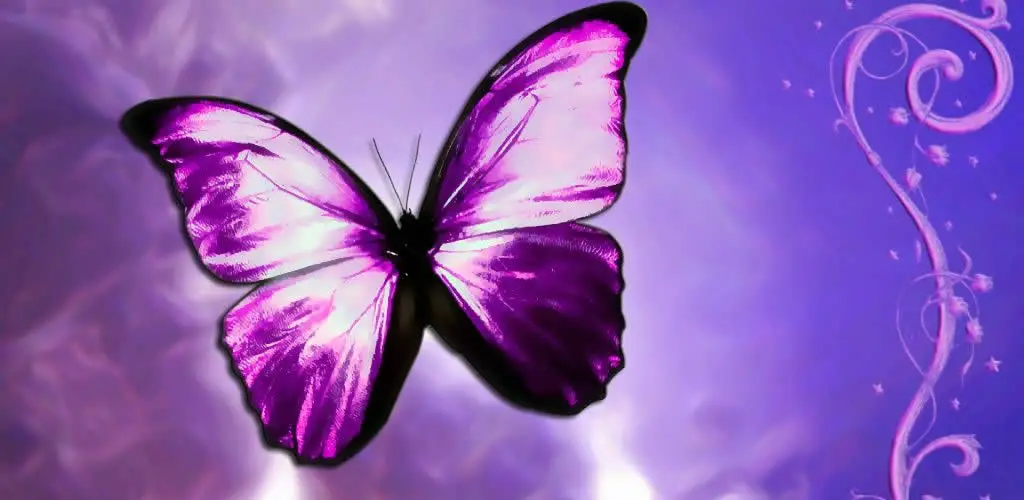 Significado de la Mariposa Púrpura