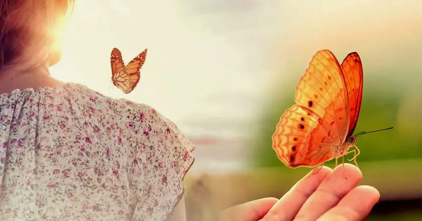 Las mariposas como símbolos religioso