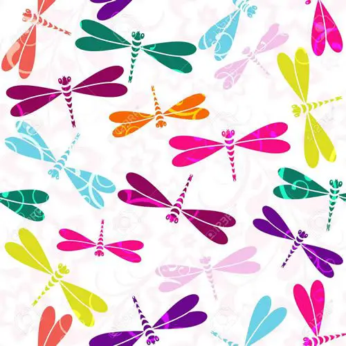 Tipos de colores de las libélulas