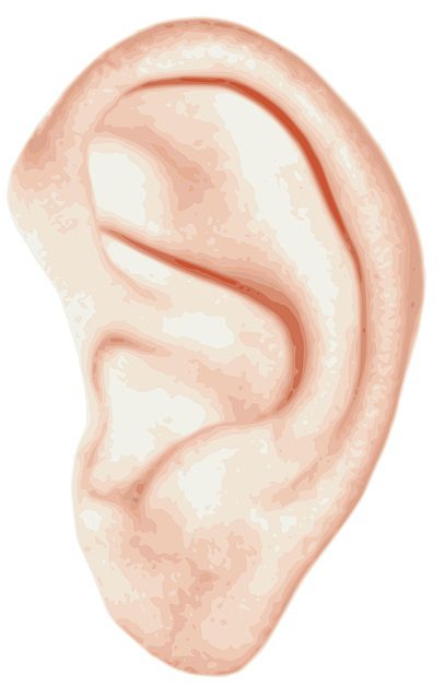 Ardor o zumbido en el oido izquierdo