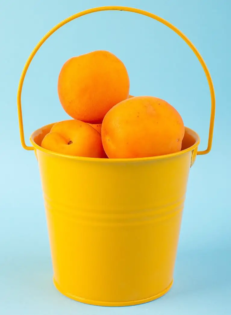 Asociamos el naranja con alta energía y un ambiente social vibrante