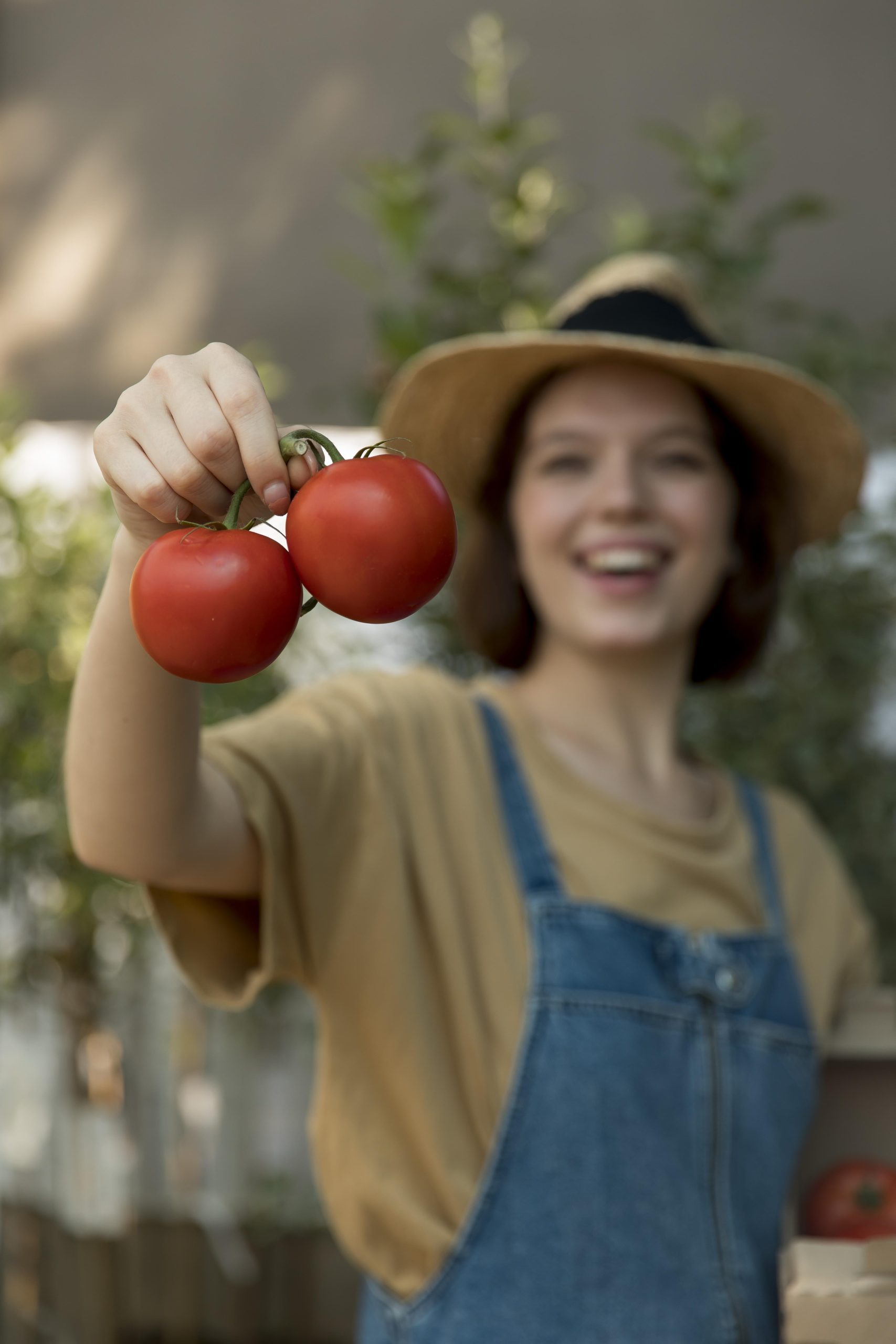 Cultivar una planta de tomate significa que te sientes romántico y quieres abrazar tus emociones